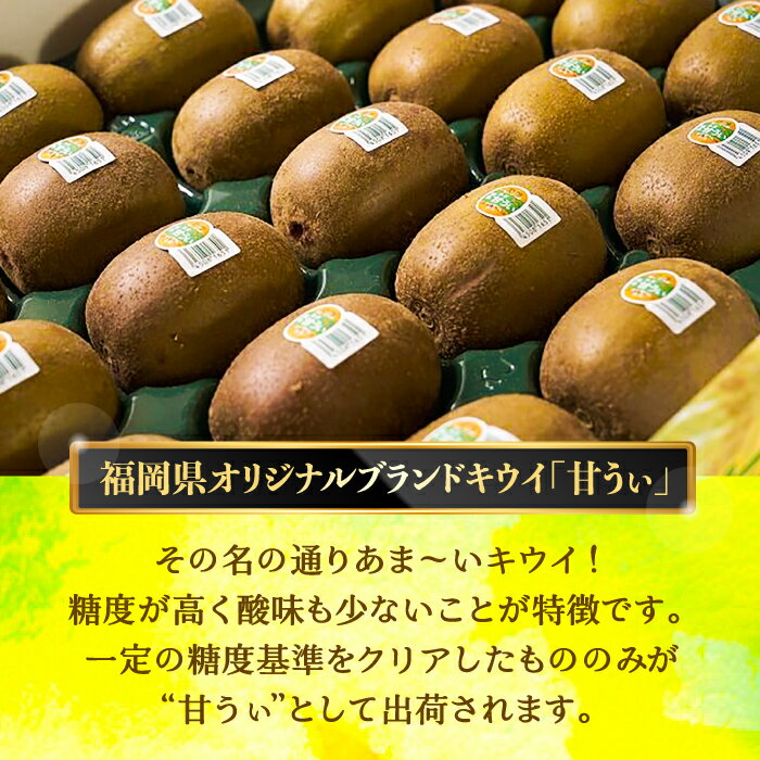 【ふるさと納税】【福岡限定】ブランド キウイ「 甘うぃ ( あまうぃ )」約1.5kg箱(12-15玉)《豊前市》【南国フルーツ株式会社】キウイ 果物 フルーツ[VBY004] 13000 13000円