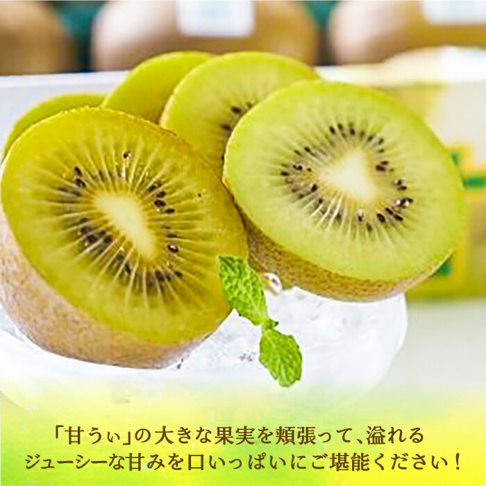 【ふるさと納税】【福岡限定】ブランド キウイ「 甘うぃ ( あまうぃ )」約1.5kg箱(12-15玉)《豊前市》【南国フルーツ株式会社】キウイ 果物 フルーツ[VBY004] 13000 13000円