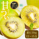 【ふるさと納税】【福岡限定】ブランド キウイ「 甘うぃ ( あまうぃ )」約1.5kg箱(12-15玉)《豊前市》【南国フルーツ株式会社】キウイ 果物 フルーツ...