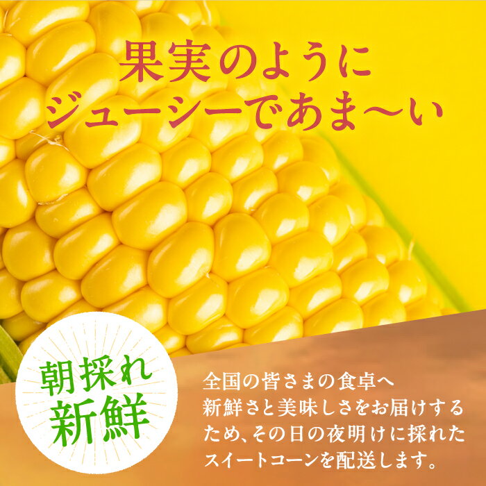 【ふるさと納税】夜明けのスイートコーン 4kg×2箱 (14～20本) 《豊前市》【アグリネックス】 とうもろこし コーン スイートコーン 20000円 [VCO002]