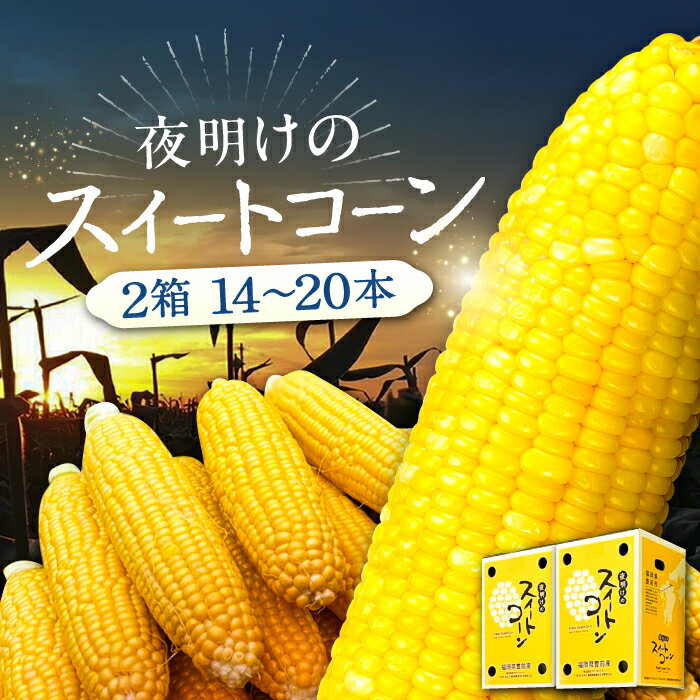 48位! 口コミ数「0件」評価「0」夜明けのスイートコーン 4kg×2箱 (14～20本) 《豊前市》【アグリネックス】 とうもろこし コーン スイートコーン 20000円 [･･･ 