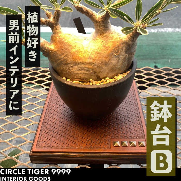 1点モノ 鉢台 B[豊前市][CIRCLE TIGER 9999]インテリア 植物 グリーン 室内 観葉植物