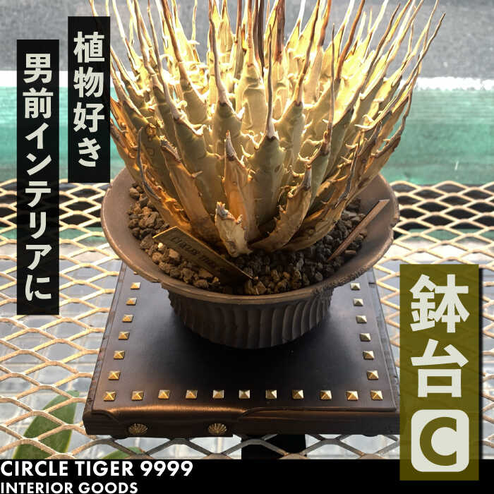 【ふるさと納税】1点モノ 鉢台 C《豊前市》【CIRCLE TIGER 9999】インテリア 植物 グリーン 室内 観葉植物[VCS003]