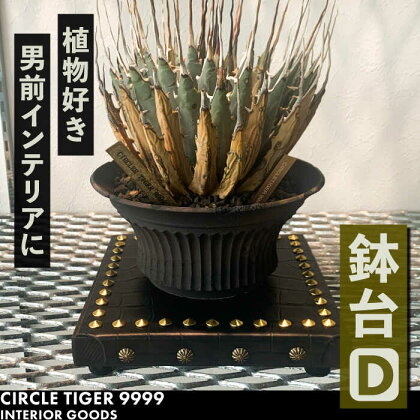 1点モノ 鉢台 D《豊前市》【CIRCLE TIGER 9999】インテリア 植物 グリーン 室内 観葉植物[VCS004]