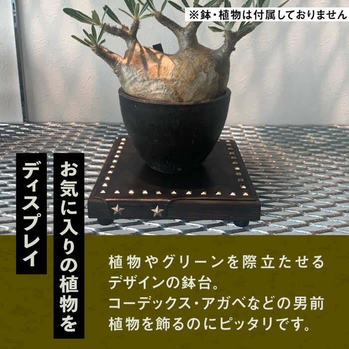 【ふるさと納税】1点モノ 鉢台 E《豊前市》【CIRCLE TIGER 9999】インテリア 植物 グリーン 室内 観葉植物[VCS005] 46000 46000円