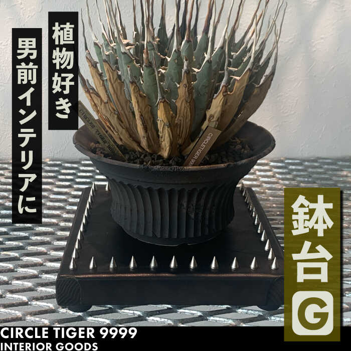 【ふるさと納税】1点モノ 鉢台 G《豊前市》【CIRCLE TIGER 9999】インテリア 植物 グリーン 室内 観葉植物[VCS007]