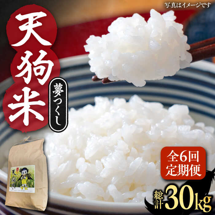 【ふるさと納税】【全6回定期便】天狗米 夢つくし 5kg《豊前市》【障害者支援施設 第一周防学園】米 お米 ゆめつくし 白米[VCX008]