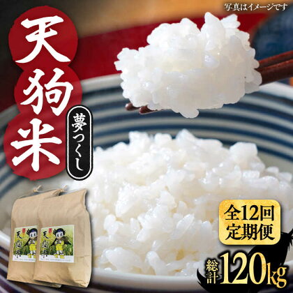 【全12回定期便】天狗米 夢つくし 10kg《豊前市》【障害者支援施設 第一周防学園】米 お米 ゆめつくし 白米[VCX012]