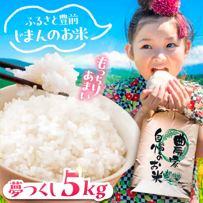 【ふるさと納税】夢つくし5kg《豊...