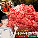 【ふるさと納税】【全3回定期便】【訳あり】 博多和牛 100% ミンチ (挽肉) 600g(300g×2個) 《豊前市》【株式会社木村食品】 ひき肉 牛肉 ハン...