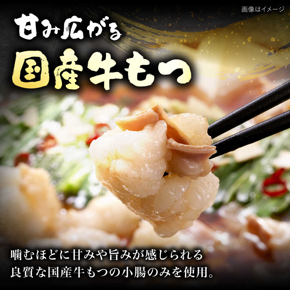 【ふるさと納税】【ご家庭用】 博多明太もつ鍋（3人前）《豊前市》【株式会社 海千...