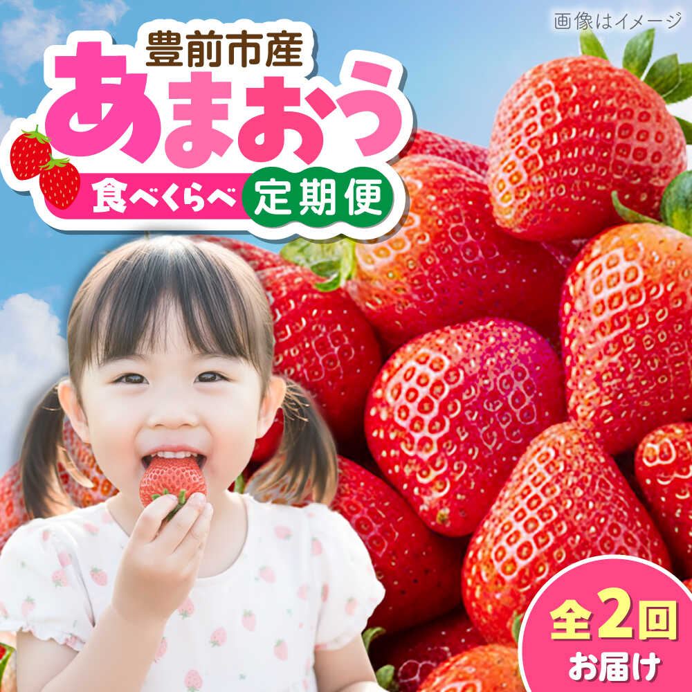 [全2回定期便]あまおう2種食べ比べ返礼品 4万円コース [豊前市][豊前市定期便]