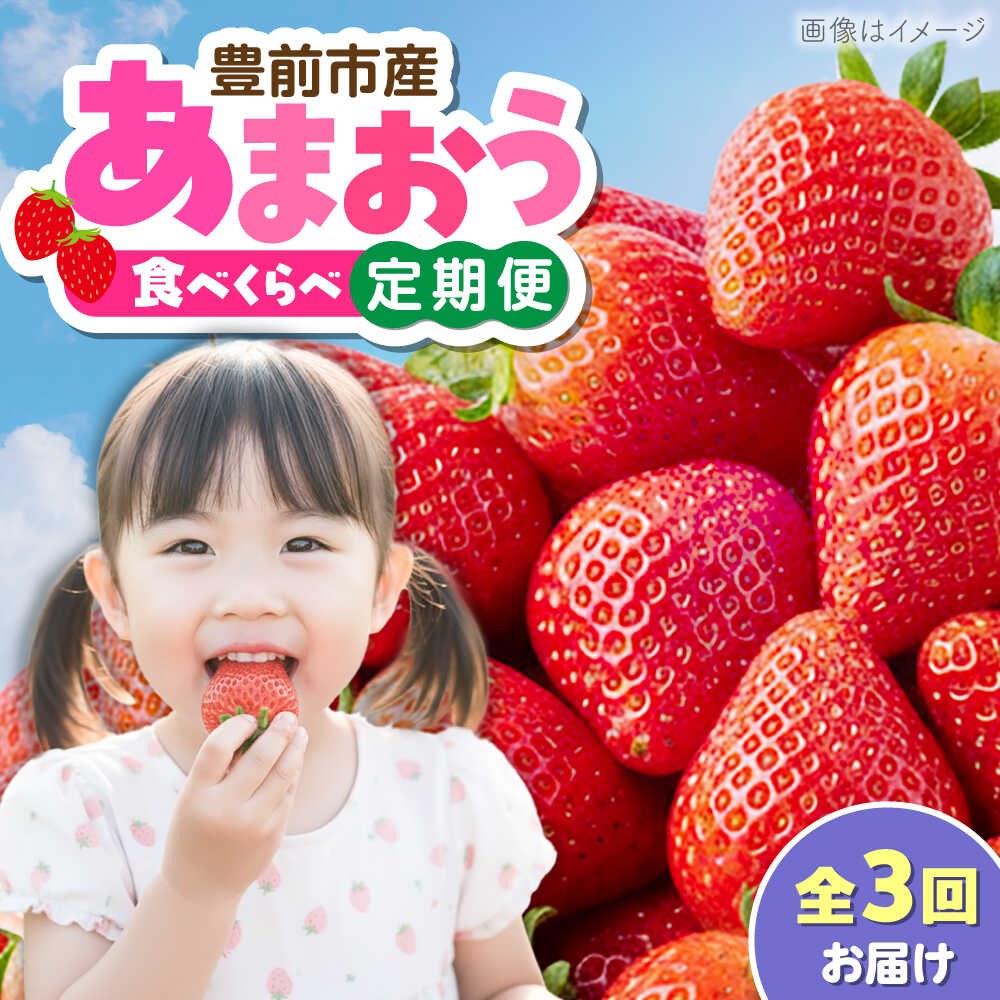 [全3回定期便]あまおう3種食べ比べ返礼品 5万円コース [豊前市][豊前市定期便]