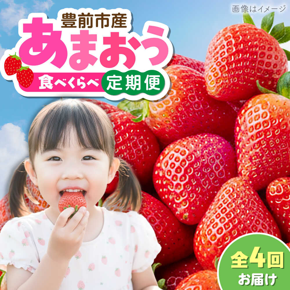 [全4回定期便]あまおう4種食べ比べ返礼品 6万円コース [豊前市][豊前市定期便]