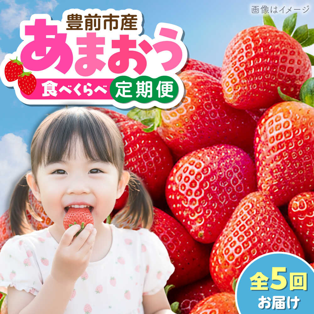 [全5回定期便]あまおう5種食べ比べ返礼品 7万円コース(ジェラート付き)[豊前市][豊前市定期便]