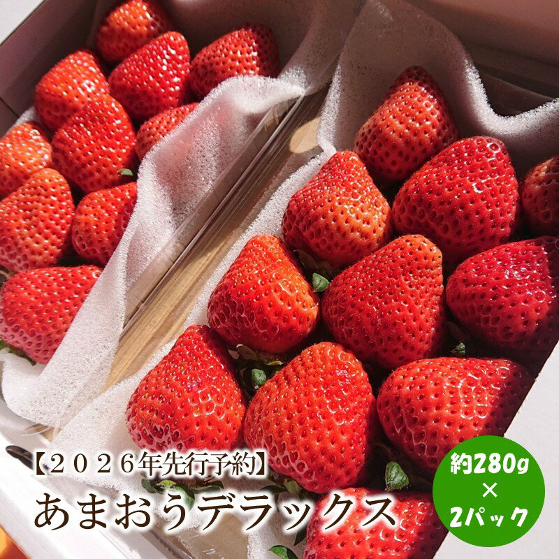 【ふるさと納税】【2026年先行予約】あまおうデラックス(2パック)【044-0059】