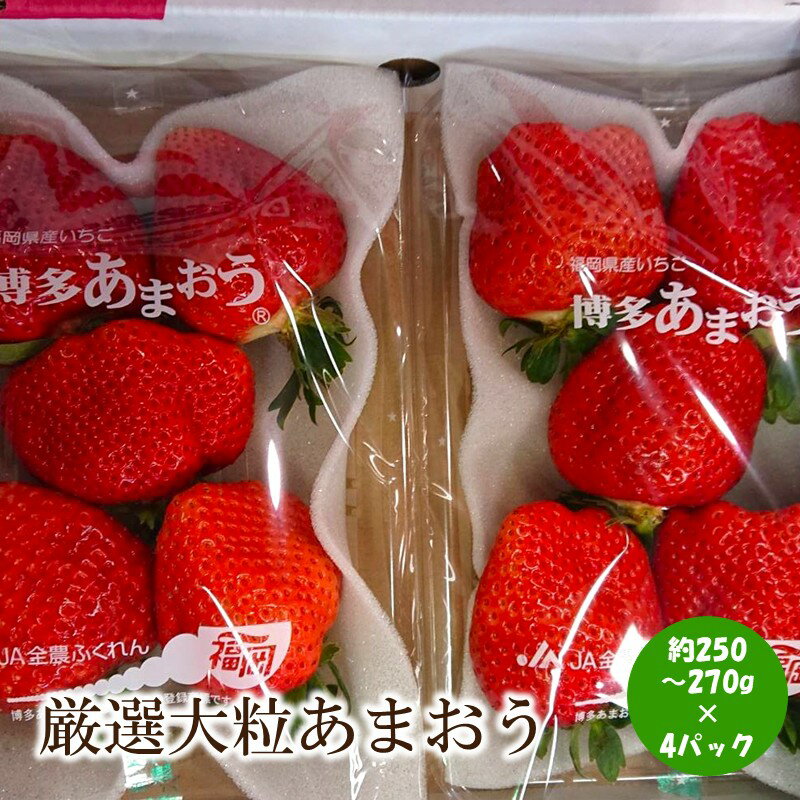 【ふるさと納税】【2026年先行予約】厳選大粒あまおう(約250-270gx4パック)【044-0062】