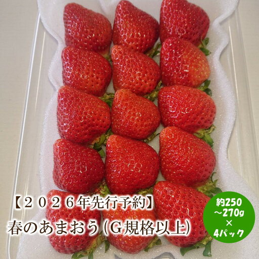 【ふるさと納税】【2026年先行予約】春のあまおう(G規格以上4パック)【044-0064】 【ふるさと納税】【2026年先行予約】春のあまおう(G規格以上4パック)【044-0064】