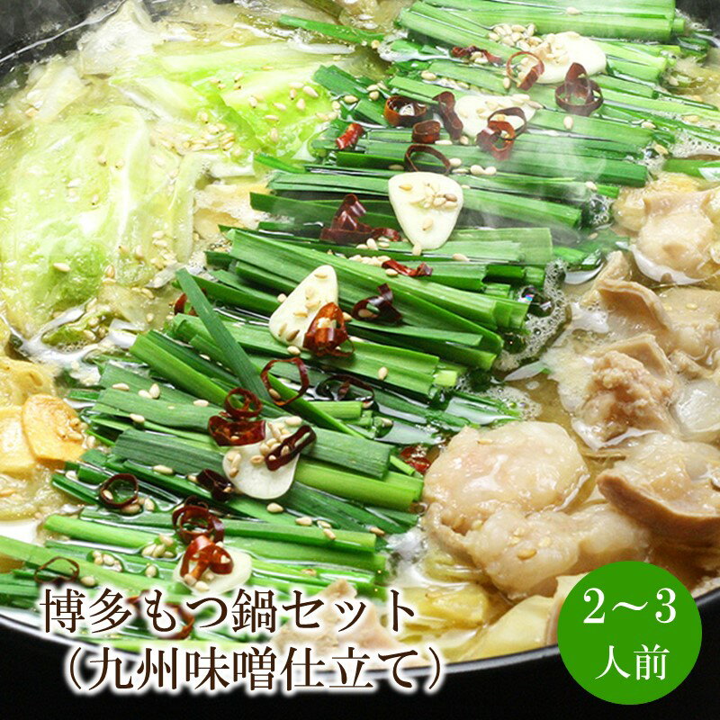 【ふるさと納税】博多もつ鍋セット(九州味噌仕立て)2〜3人前【059-0070】