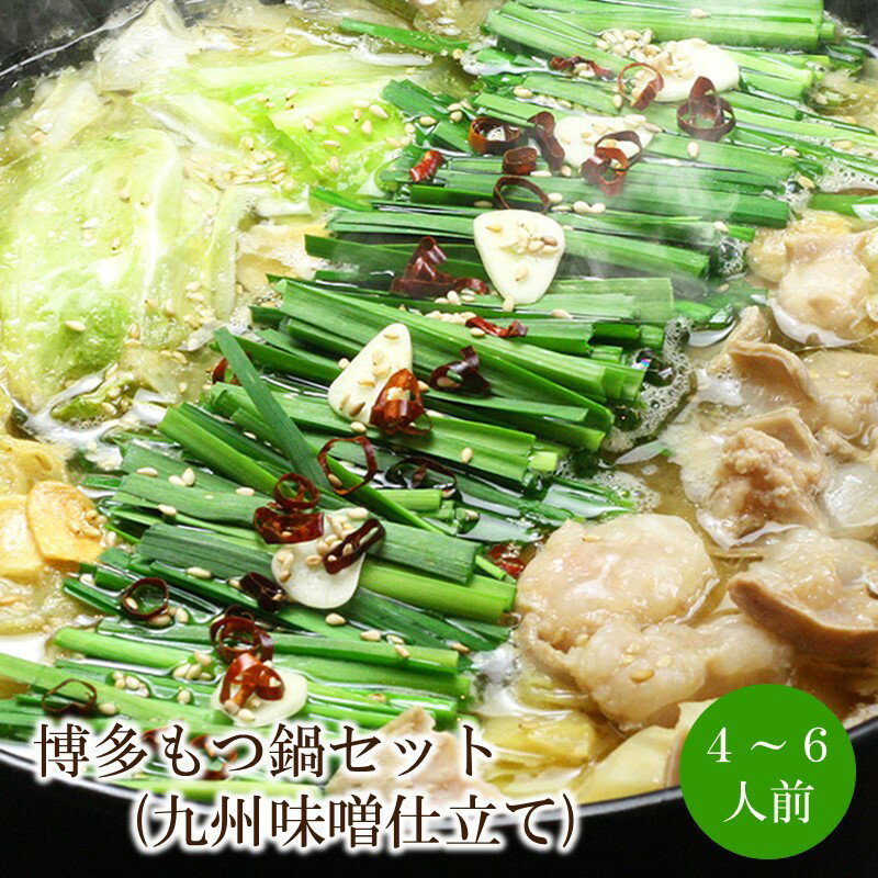 【ふるさと納税】博多もつ鍋セット(九州味噌仕立て)4〜6人前【059-0076】
