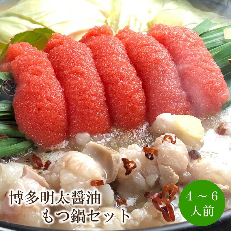 【ふるさと納税】博多明太醤油もつ鍋セット4〜6人前【059-0077】