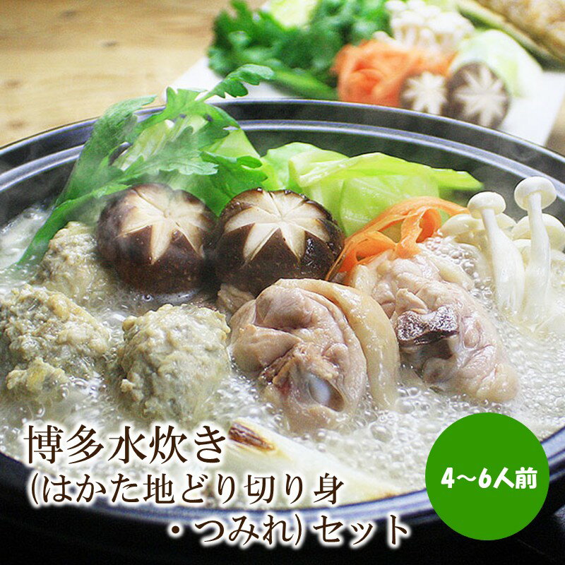 【ふるさと納税】博多水炊き(はかた地どり切り身・つみれ)セット4～6人前【059-0073】