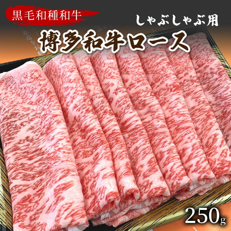 【数量限定】博多和牛ロースしゃぶしゃぶ用 250g【009-0012】