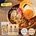 【ふるさと納税】薬局がつくるココフルオリジナルグラノーラ詰め合わせセット 限定 パッケージ 手作り 自家製 ヴィーガン グラノーラ ドライフルーツ セット 送料...