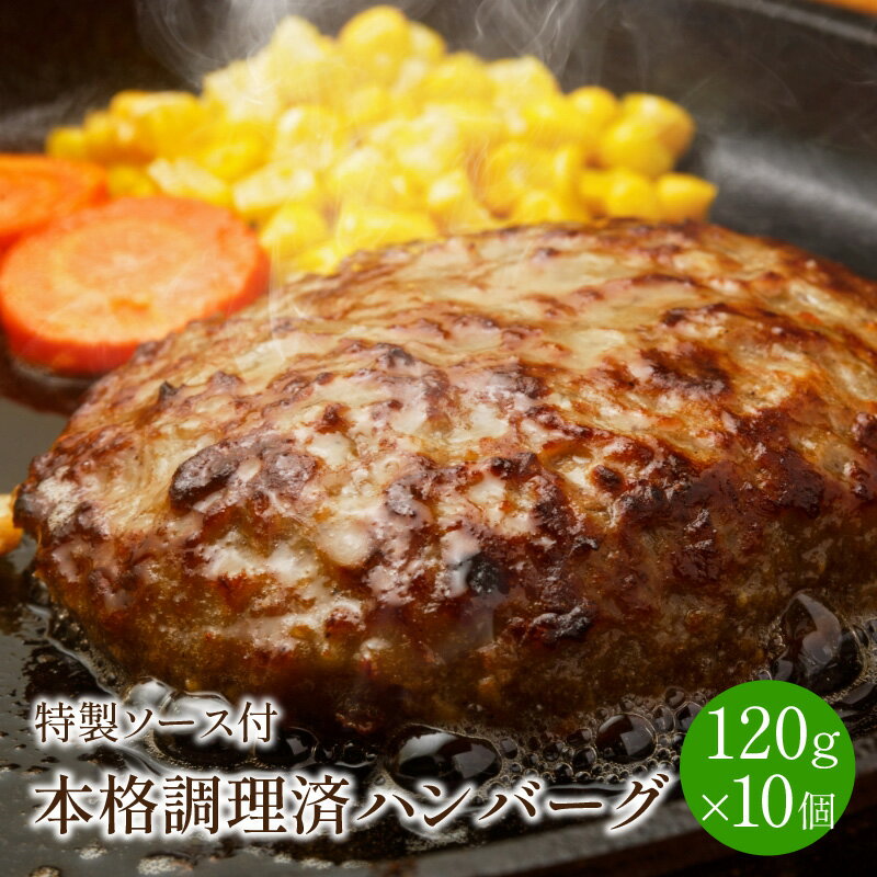 本格調理済ハンバーグ10食 特製ソース付 ハンバーグ 惣菜 冷凍 湯せん レンジ 10個 真空 個食 パック 送料無料 【001-0010】