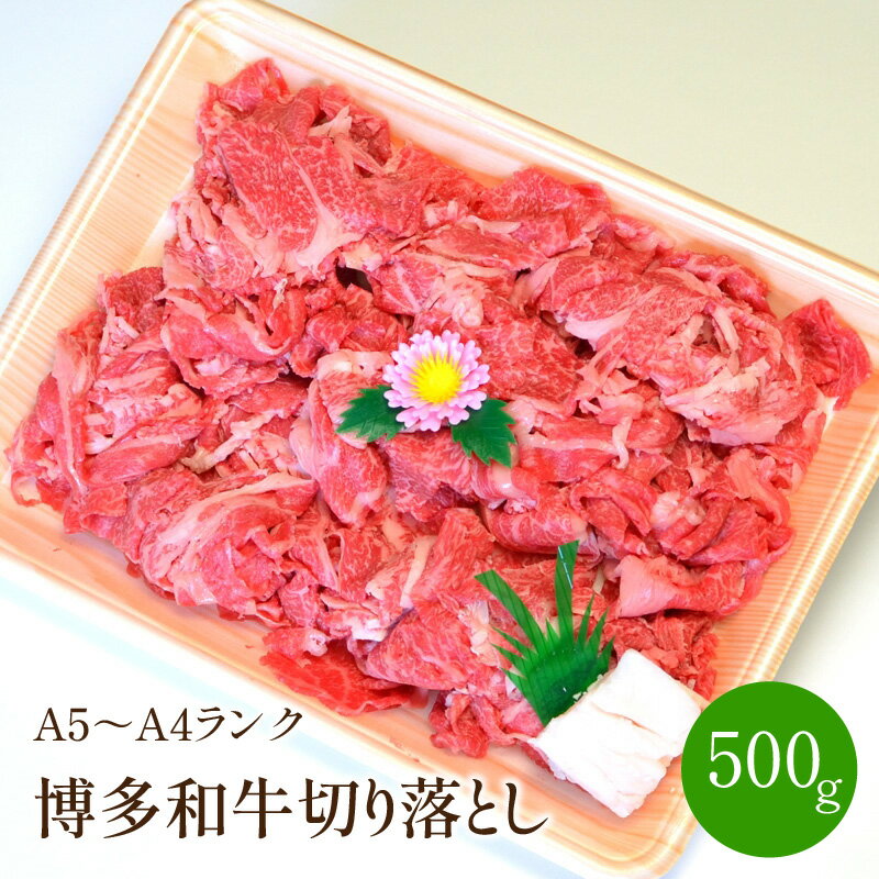 博多和牛A5〜A4 切り落とし500g[001-0083]