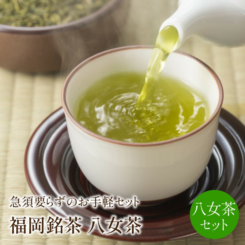 10位! 口コミ数「1件」評価「5」福岡銘茶八女茶　急須要らずのお手軽セット【001-0088】