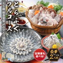 【ふるさと納税】\選べるお届け回数!/とらふぐフルコース(刺身菊盛・ちり鍋)〆はマルゴめん 中間産米粉麺付 たっぷり豪華2人前