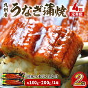 8位! 口コミ数「0件」評価「0」【4回定期便】九州産うなぎ蒲焼2尾　秘伝つゆだくタレ付【001-0205】