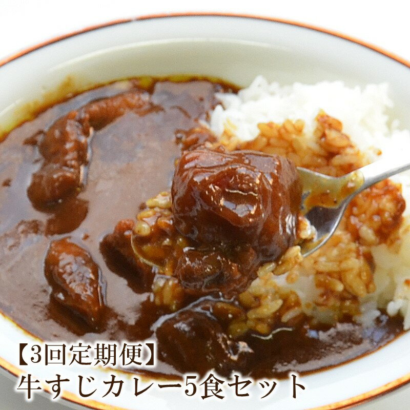 [3回定期便]ゴロッ!と入ったコラーゲン博多和牛 牛すじカレー5食セット[001-0207]