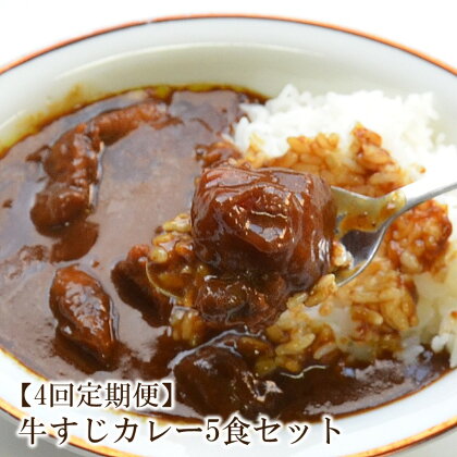 【4回定期便】ゴロッ!と入ったコラーゲン　博多和牛　牛すじカレー5食セット【001-0208】