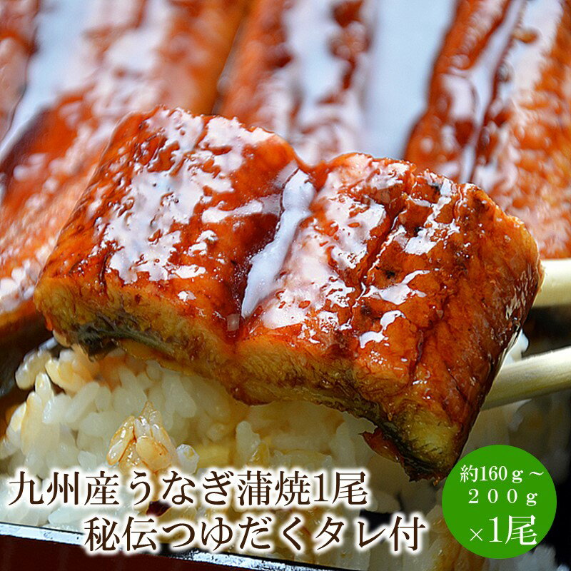 【ふるさと納税】九州産うなぎ蒲焼1尾秘伝つゆだくタレ付【001-0308】