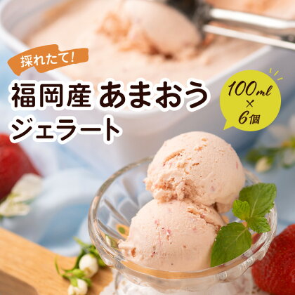 福岡県産あまおうジェラート　100ml×6個 アイス いちご イチゴ 苺 スイーツ セット 送料無料 ふるさと納税 いちご あまおう 中間市 【011-0042】