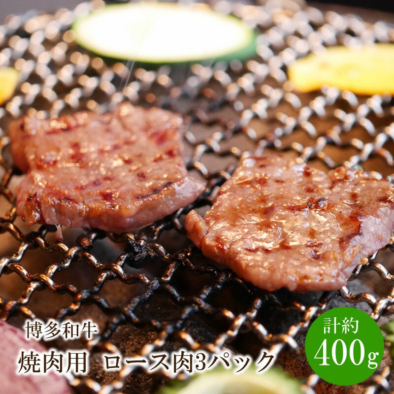 博多和牛 焼肉用 ロース肉3パック(計約400g)[034-0023]