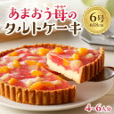 【ふるさと納税】あまおう苺のタルトケーキ 6号(約18cm)