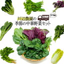 【ふるさと納税】〈定期便〉川辺農園の季節の中華野菜セット　12ヶ月