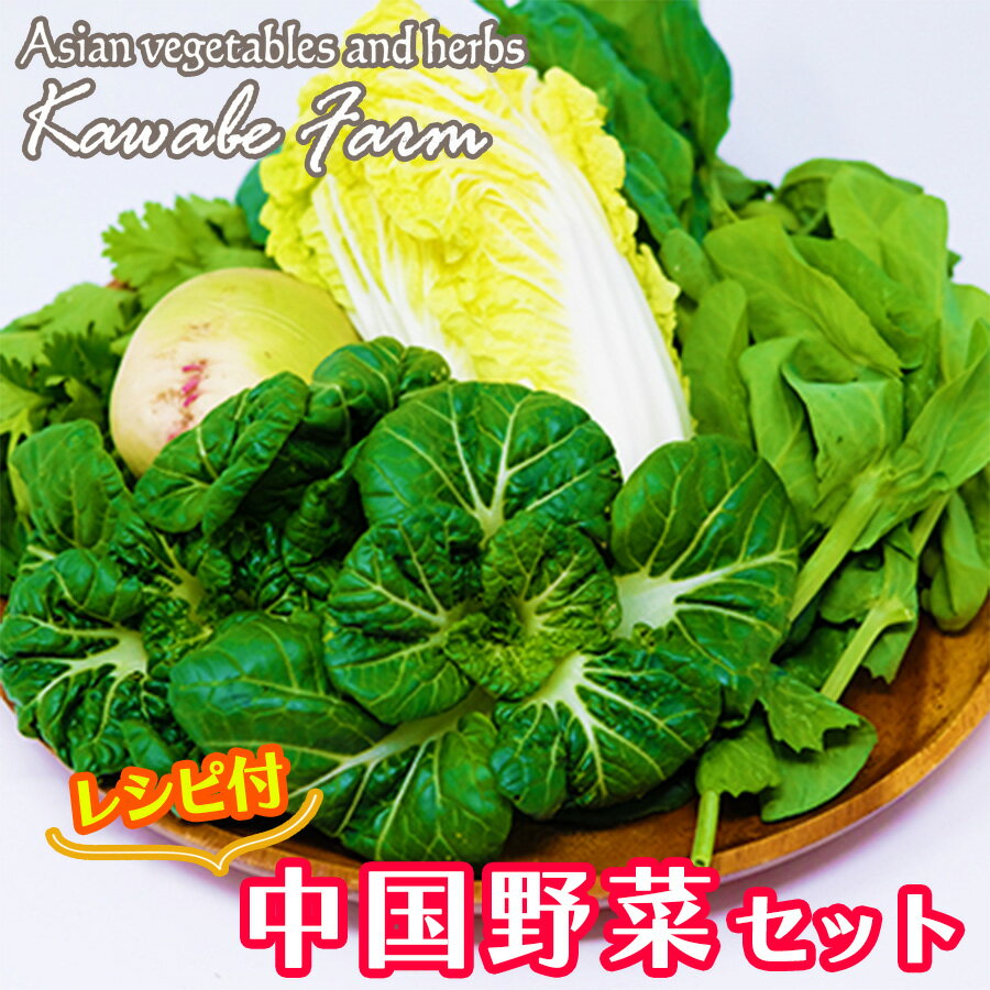 【ふるさと納税】＜国産＞ アジアン 野菜 季節の「中国野菜」セット＜レシピ付＞のサムネイル