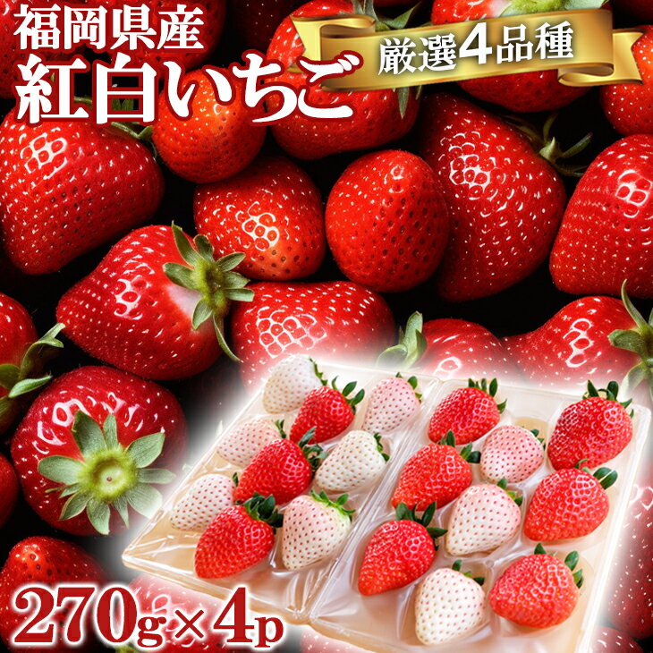 【ふるさと納税】いただきいちご園の厳選4品種 色鮮やかなめでたい紅白いちごのボリュームセット