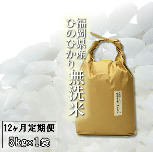 【ふるさと納税】〈定期便〉特A 福岡県産 無洗米ひのひかり 5kg×12ヵ月