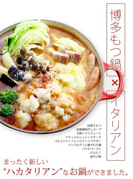 【ふるさと納税】チーズとトマトのローマ風博多もつ鍋（2〜3人前）　送料無料　国産牛モツ　福岡