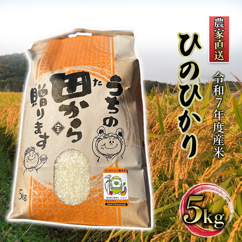 【ふるさと納税】米 5kg 令和7年度産米 ひのひかり 筑後小郡産 農家直送 お米 コメ