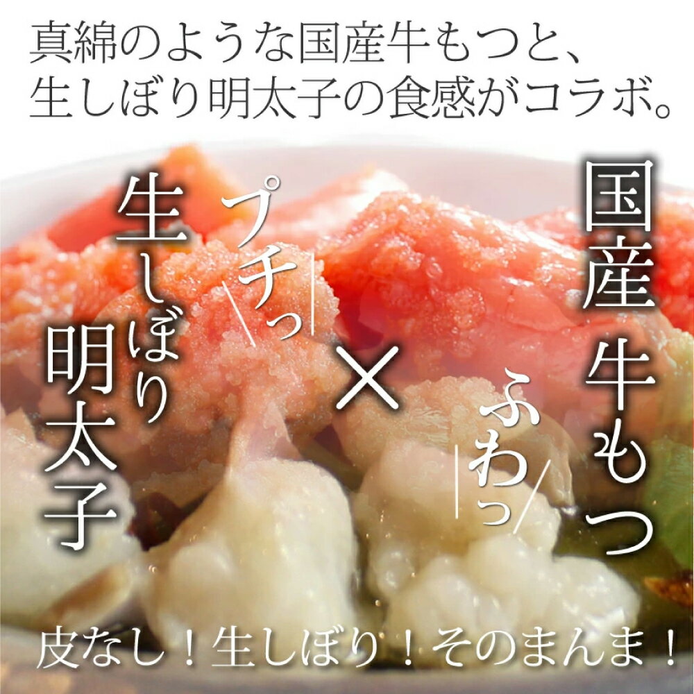 【ふるさと納税】博多明太醤油もつ鍋セット（2～3人前）