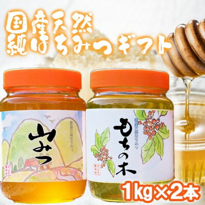 はちみつ 福岡県 特産 天然 国産 純はちみつ 各1kg もちのき&やまみつ ハチミツ 蜂蜜
