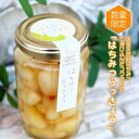 【ふるさと納税】はちみつらっきょう 300g×1本 国産天然はちみつ漬け らっきょう ハニーベル