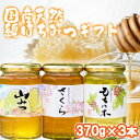 【ふるさと納税】はちみつ 化粧箱入り 国産 天然 純はちみつ 370g×3本セット さくら&もちのき&やまみつ ギフト 《包装対応、手提げ袋付》 お届け:20...