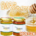【ふるさと納税】はちみつ 化粧箱入り 国産 天然 純はちみつ 160g×2本セット さくら&やまみつ ギフト 《包装対応、手提げ袋付》 お届け:2025年5月...
